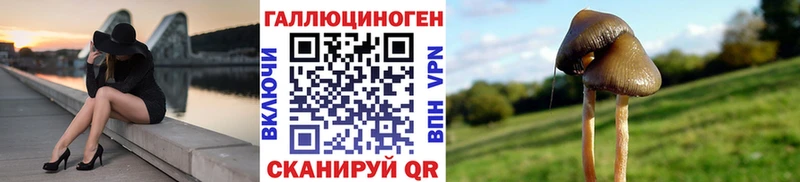 Купить закладки  Минеральные Воды  Галлюциногенные грибы Psilocybe 